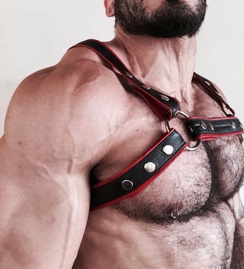 beardburnme:  pedrao_gyn Instagram