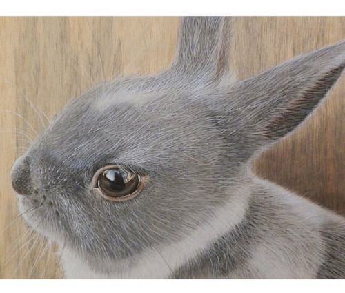 This Artist Creates the Most Realistic Animal Portraits We’ve Ever Seen