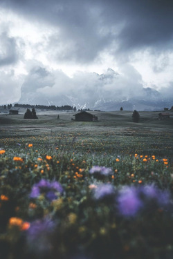 lsleofskye:   Seiser Alm | daniel_weissenhornLocation: Dolomites, Italy