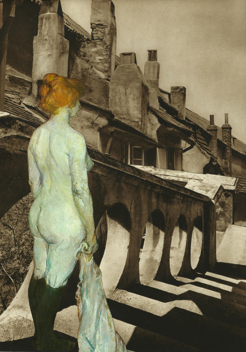 collage-calamity:  Submission from Irina &amp; Sylviu Szekely on Tumblr Website | Facebook 