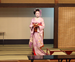 okiya:  Miyako Odori 2014 - Tea Ceremony