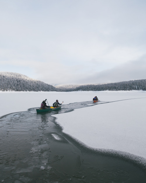 morgan-phillips: Five Friends and I wanted to camp on a small island in the middle of the Hungry Hor