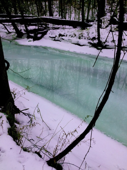 lionfloss - Went into the nature today