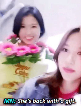 where is jeongmo