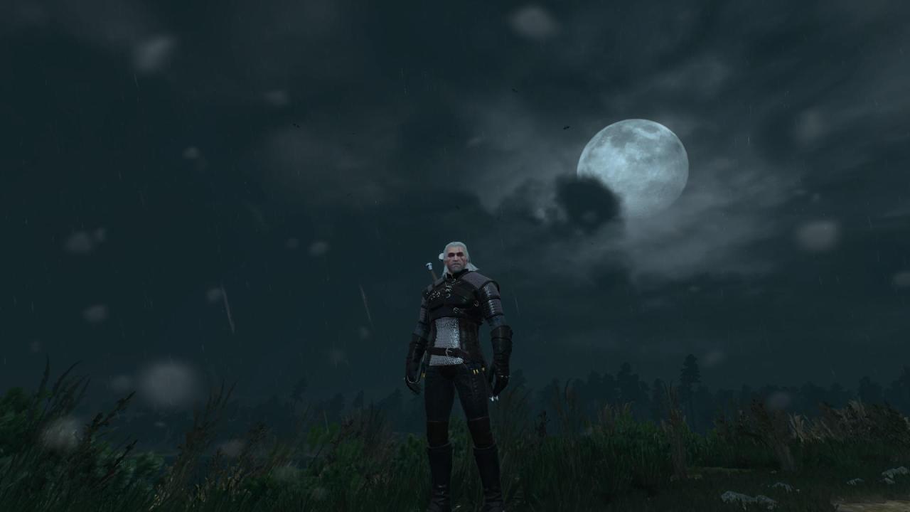 theomeganerd:  The Witcher 3: Wild Hunt - New Screens