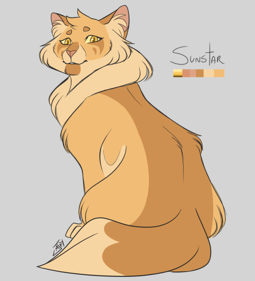  Designing WC - Pinestar - SunstarTwo of the suggestion! I’m slowlly working on all of them! I reall