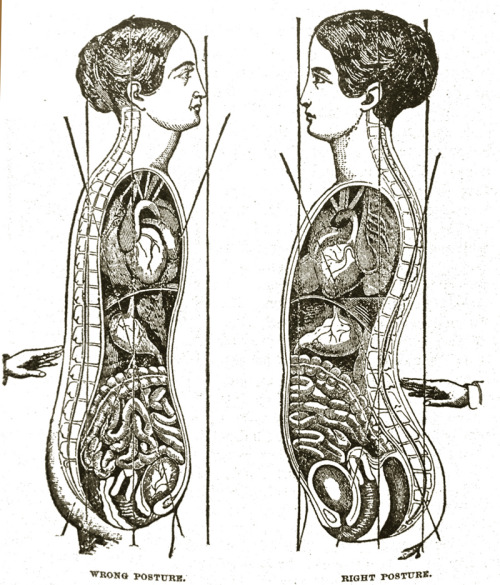 From Dr. Foote’s Home Cyclopedia of Popular Medical, Social & Sexual Science, 1900