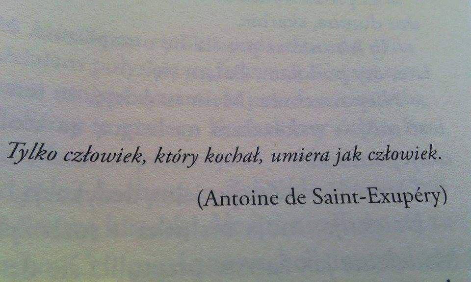 To idealny świat dla nieidealnych ludzi.
