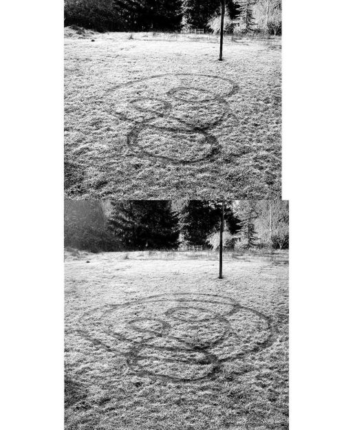 . drawing in frosted grass 18feb2020 . #frost #grass #earlymorning #scuffedlines #line #pattern #bnw