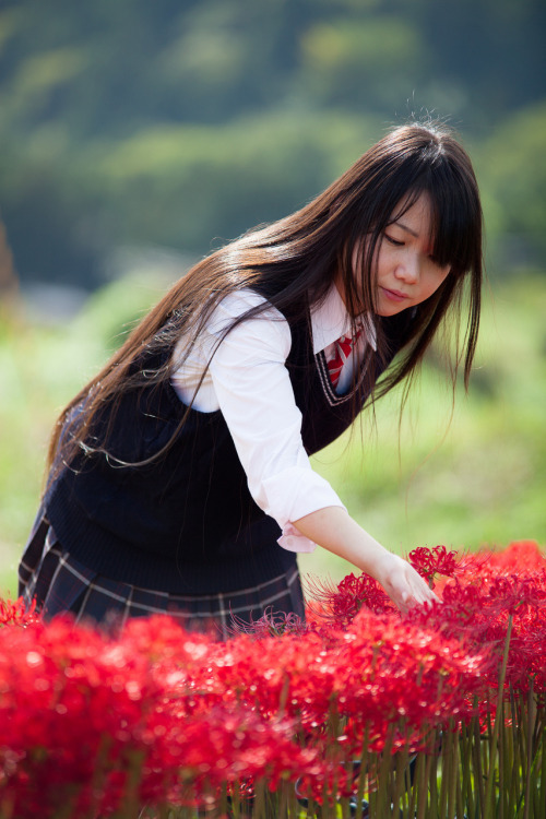 PORTRAIT PHOTO SENDAI / 2015model 凩さん 9月。仕事帰りに見つけた彼岸花のある場所に制服姿の凩さんに立って頂きました。超ロングの黒髪が少しミステリアス。