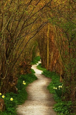 (via maluna) Hmm I would want to walk down this with a significant other, I think it would be cute.