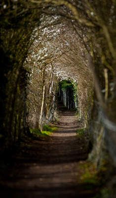 (via maluna) Yet another path I would love to walk down