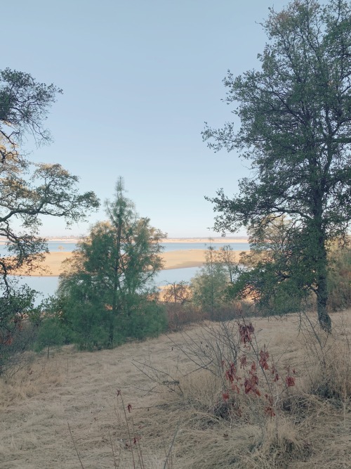 The middle of autumn in gold country is not necessarily very colorful in appearance. At Folsom Lake 