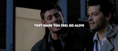 samxdean:insp.Source: samxdean