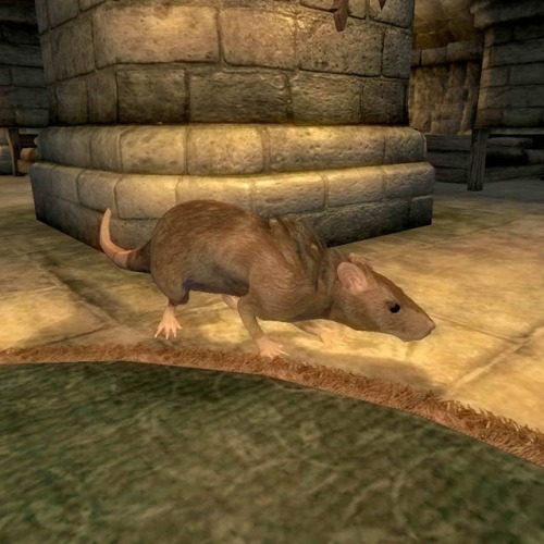 reyesent:  uesp:  Did You Know: Schemer, the pet rat, and the Dark Guardian wandering the Sanctuary 
