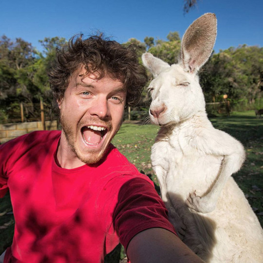 El puto amo de los selfies con animales