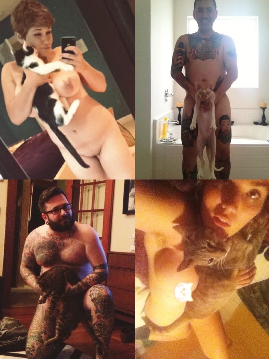 unluckylittleshitttt:  pizza-party-princess:  Hi here’s all the naked cat war pictures