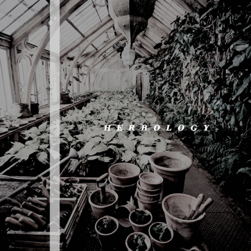 dvnwild:Hogwarts Classes: Herbology Herbology is the study of magical and mundane plants and fungi, 