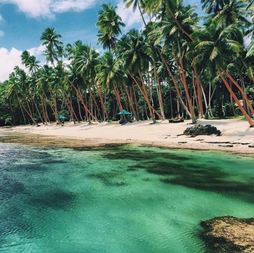 tigrswimwear: We will never get over how beautiful this beach in Savusavu, Fiji was #MondaySwim htt