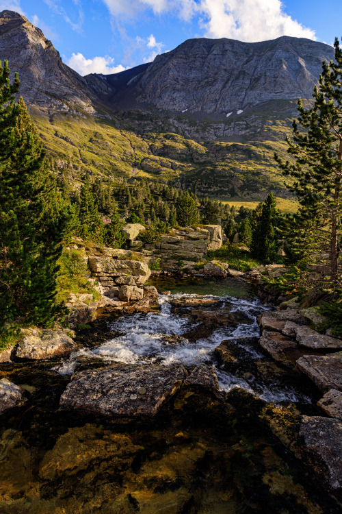 nature-hiking: pyrenean mountain stream 14/? - Haute Route Pyreneenne, August 2019 photo by nature-h