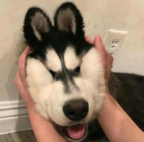 SMOOSH