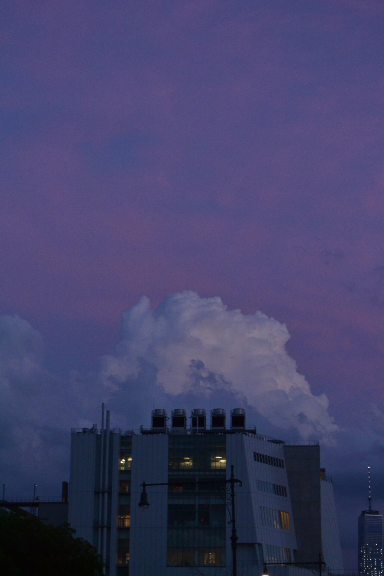 Tumblr Photo