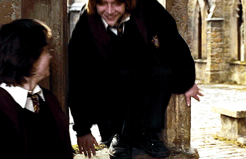 hermionegrangers:Why is it when something happens it is always you three?