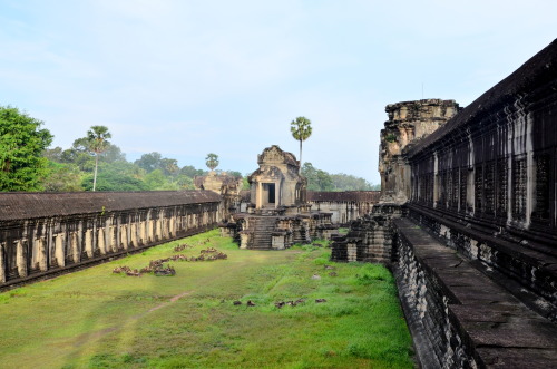 Photographic Highlights of Angkor Wat (1 of 2)