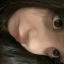 catlalice