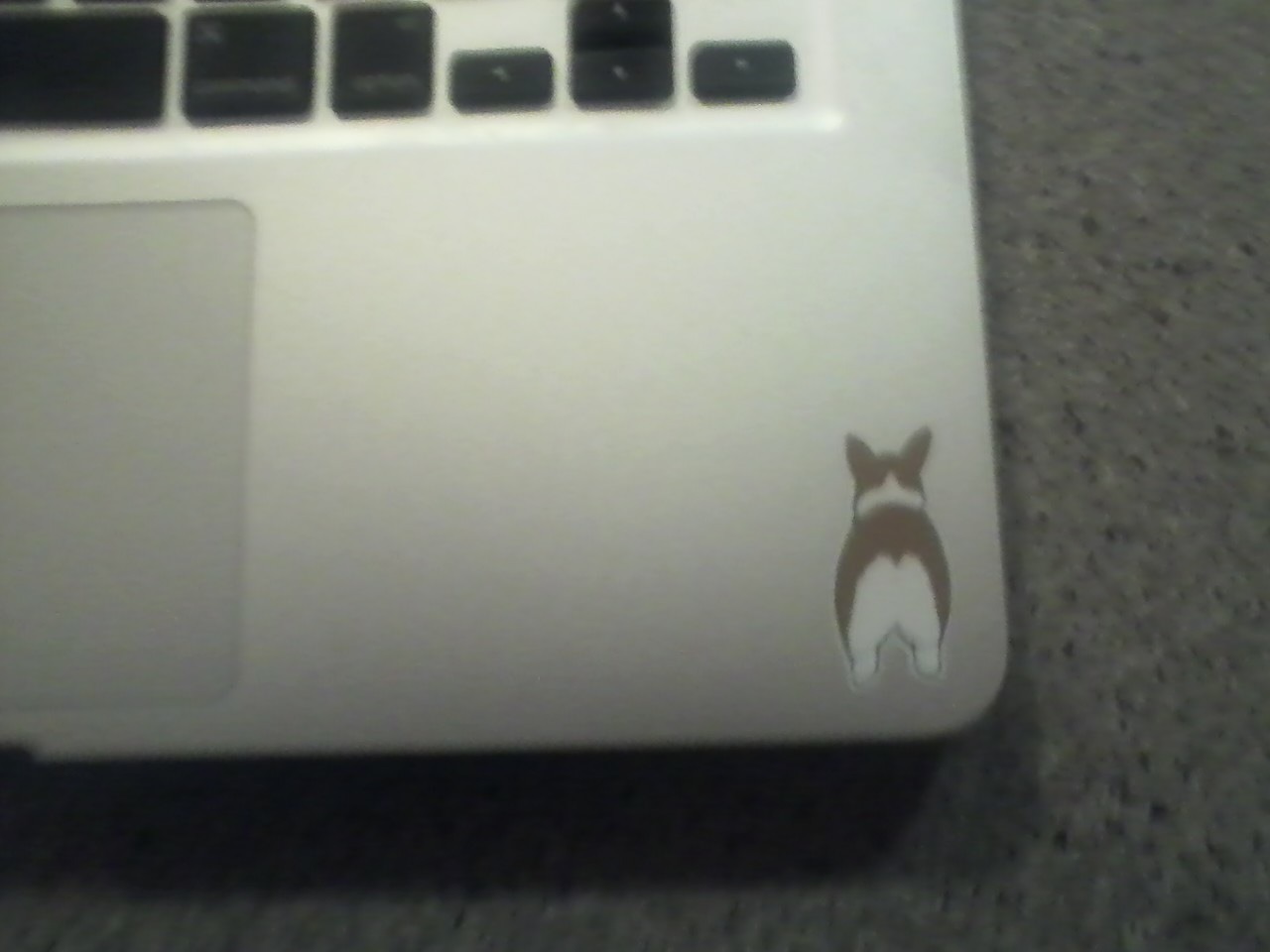 corgis-everywhere:  corgiandapsofriend:  My new tiny Corgi decal! It’s so cute