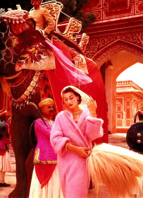 Anne Gunning in a pink mohair coat outside the City Palace, Jaipur, India, Vogue, November 1956