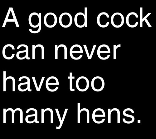 My Apologies.