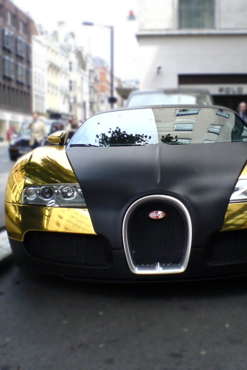 Premium Elegance.