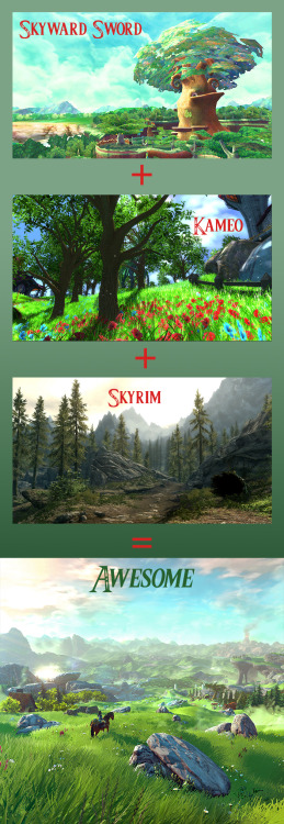liefesa:  Zelda Wii U