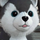 pyronoid-d  replied to your post “pussyforurthoughts