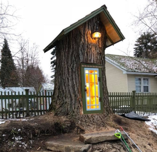 itscolossal:Little Tree Library: A Clever Twist on the Donation-Based Community Library Gives New Li