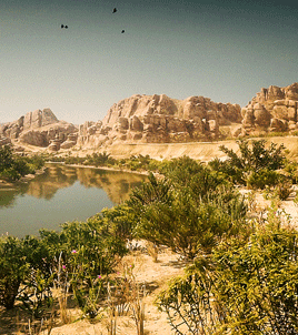 muse-of-nightmares:RED DEAD REDEMPTION II  • scenery [31/?] —A Ride Along the San Luis River