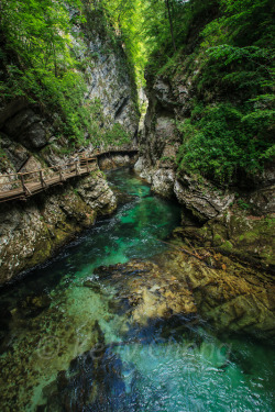 wowtastic-nature:  Slovenia-110527-079-1