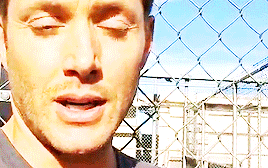 adoringjensen: Happy Birthday, Old Man Ackles! | March 1st, 1978↳To the man who