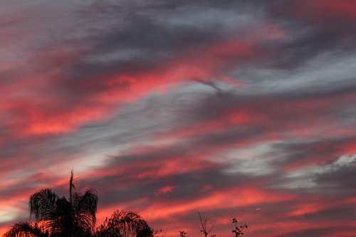 Some photos I took a week or two ago.The sky turns this amazing cotton candy color and I just can&rs