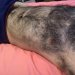awesomefurvert:cabin12silverbear:hairy-man-lovers:So much fur, where to start!!He’d so get it