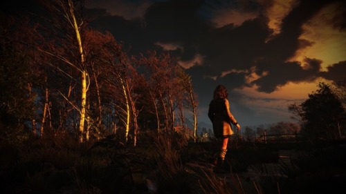 witcher photography