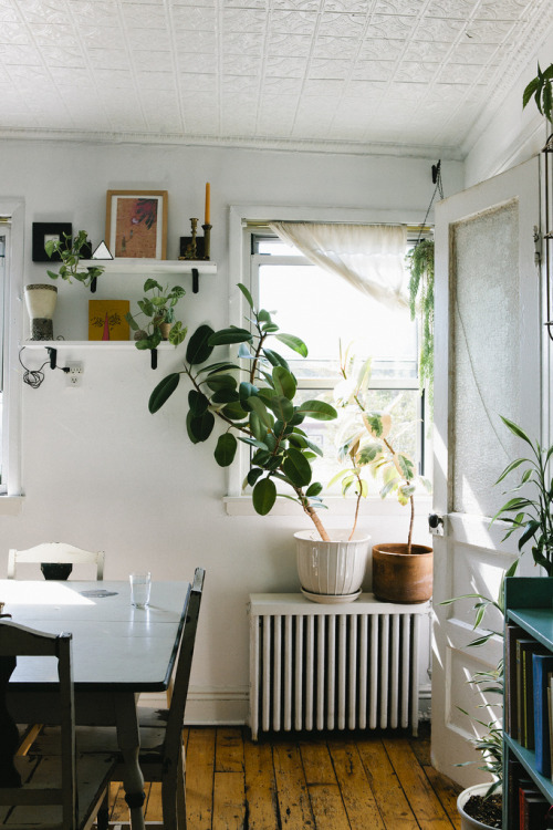 neest:  Pretty Street Botanicals | Nicole Franzen (par Nicole Franzen Photography) 