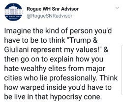 liberalsarecool:  The cone of hypocrisy is very well-funded and maintained by donors and right wing wing media who pump out hate so low-IQ voters are distracted from their overlords.  That being said, the kind of person who thinks Trump and Giuliani are