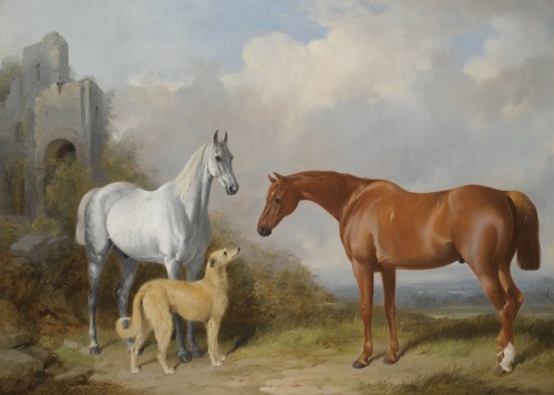 A Grey and a Chestnut Hunter with a Deerhound, William Barraud, 1845