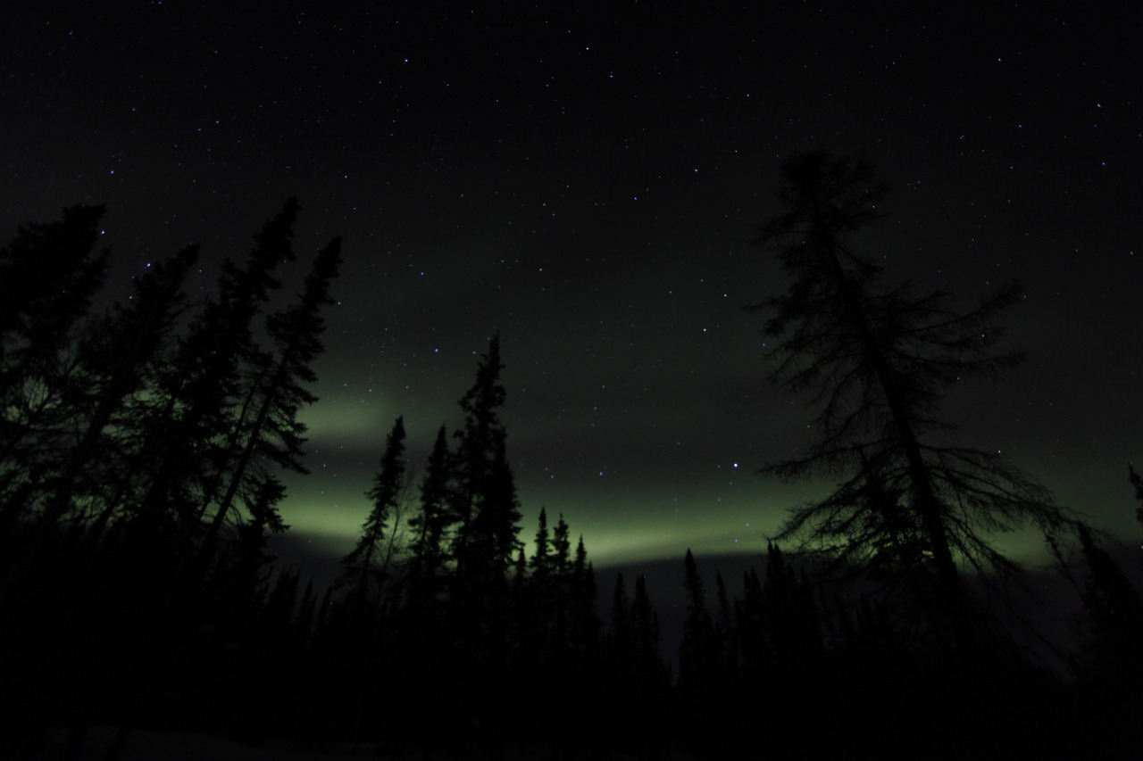 atraversso:  Aurora Boreals  by Emrold    Please don’t delete the link to the photographers/artists,