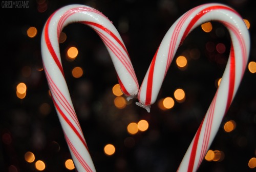 christmasfans:  I’m so proud of this picture!!¡ just a classic candy cane heart pic :)
