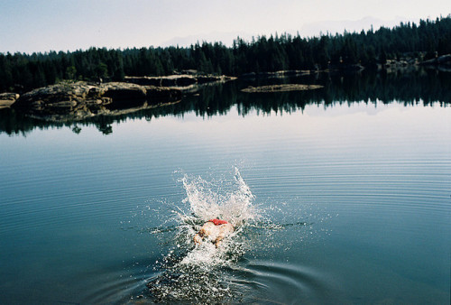 owakolf:  Nature Blog 