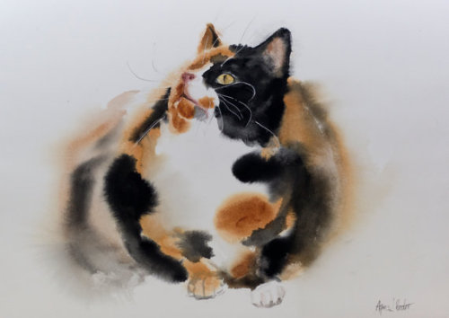 snootyfoxfashion:Beautiful Watercolor Cat Art Prints by bodorkax / x / x / x / xx / x / x / x / xGuy
