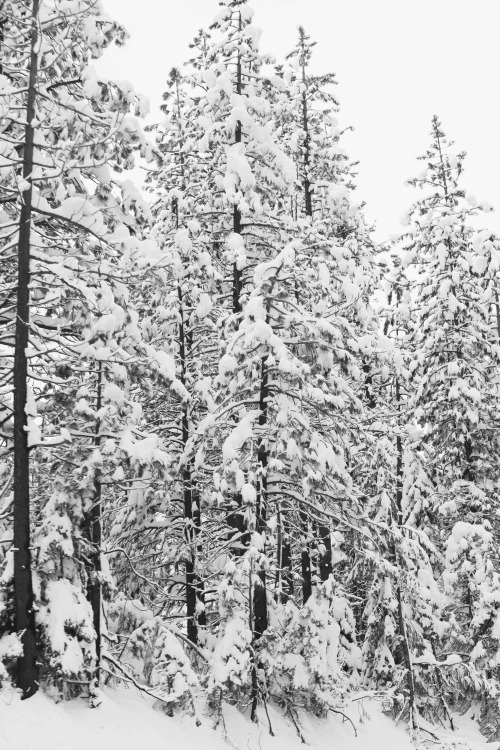 A bit of snowy sierra nevadas for the year. These mountains in the winter really are something incre